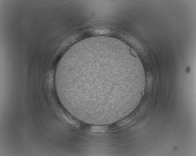 X0000116870373201002021132