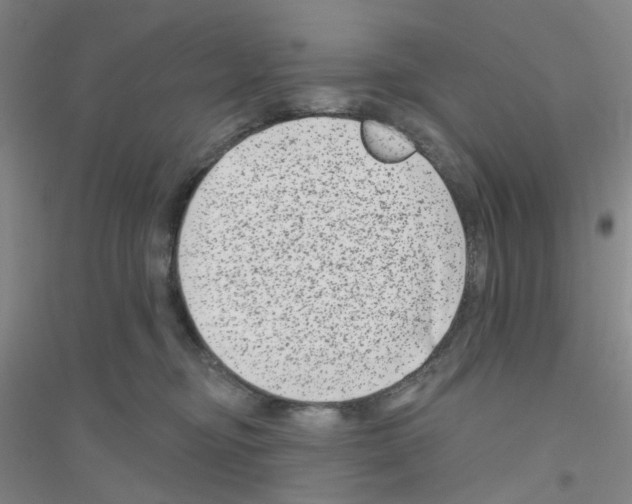 X0000116870374201002021132