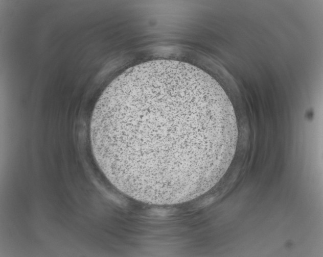 X0000116870375201002021132