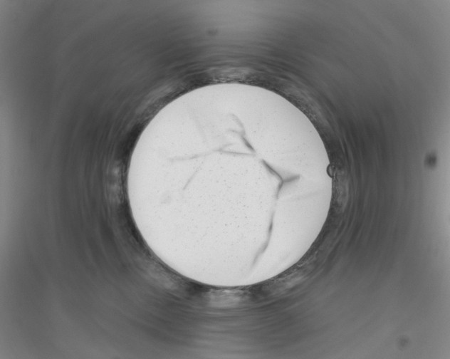 X0000116870378201002021132