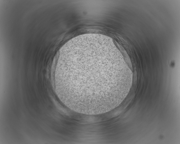 X0000116870379201002021132