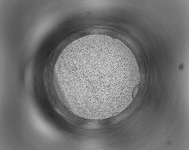 X0000116870381201002021132