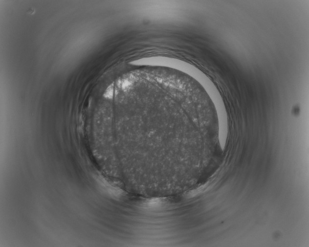 X0000116870382201002021132