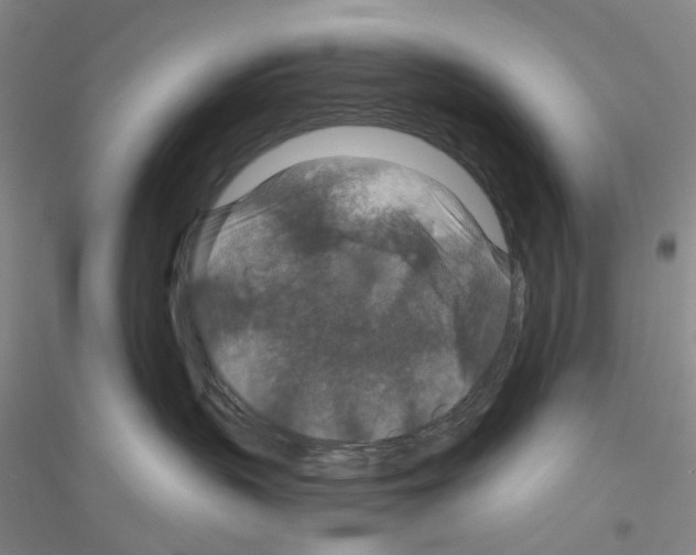 X0000116870383201002021132