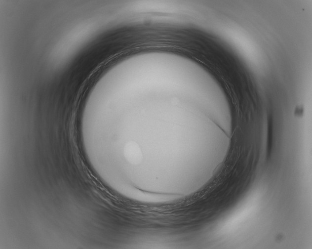 X0000116870387201002021132