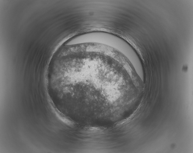X0000116870390201002021132