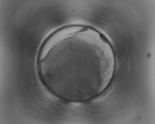 X0000116870391201002021131