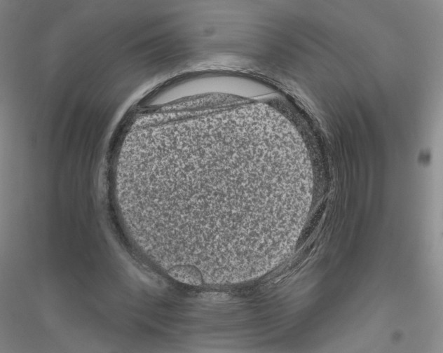 X0000116870392201002021131