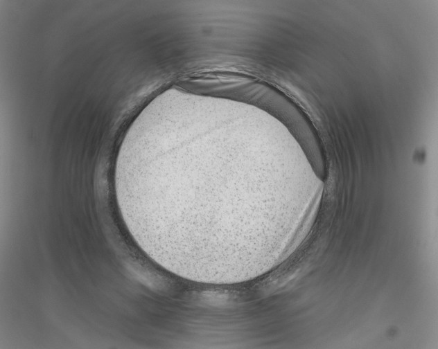 X0000116870394201002021131