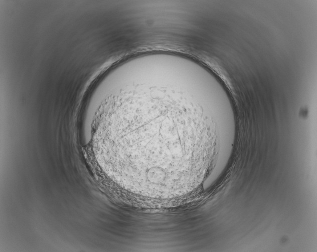 X0000116870395201002021131