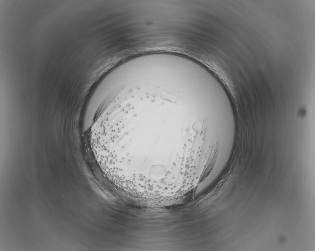 X0000116870397201002021131
