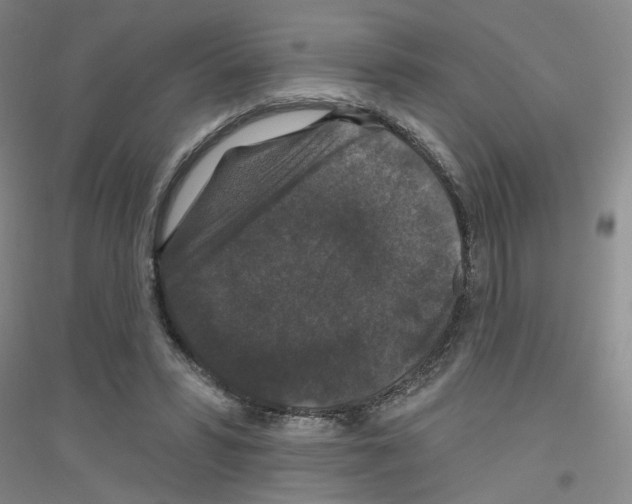 X0000116870399201002021131