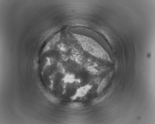X0000116870402201002021131