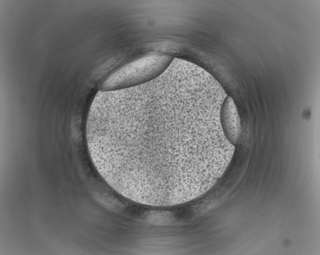X0000116870403201002021131