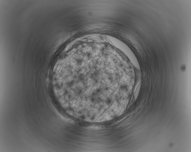 X0000116870404201002021131