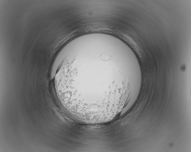 X0000116870405201002021131