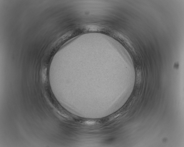 X0000116870406201002021131