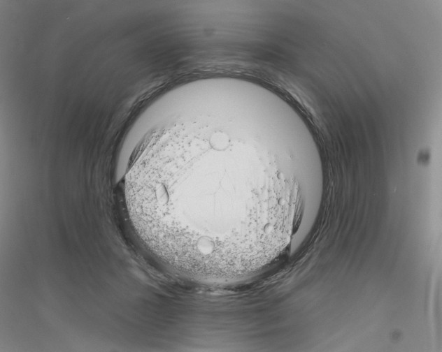 X0000116870407201002021131