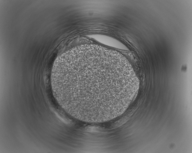 X0000116870408201002021131