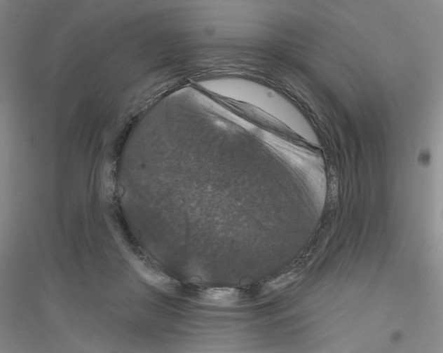 X0000116870410201002021131