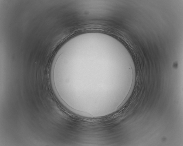 X0000116870411201002021131