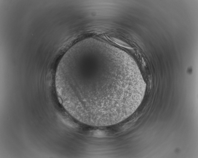 X0000116870412201002021131