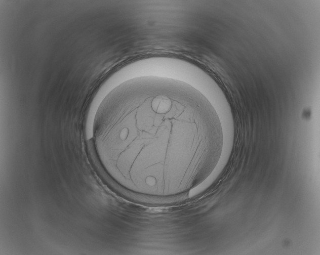 X0000116870415201002021131