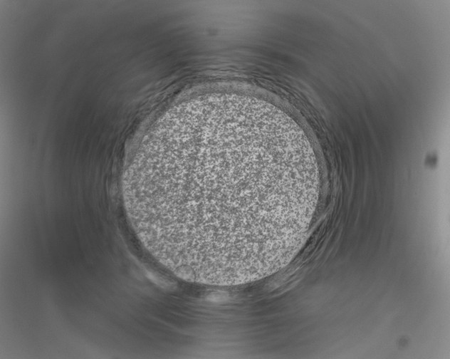X0000116870416201002021131