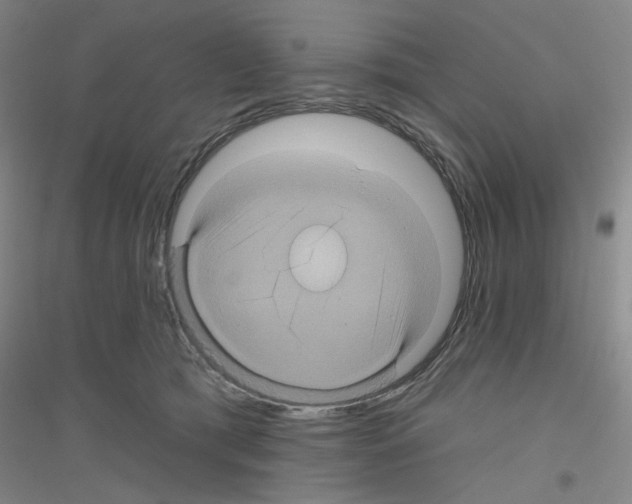 X0000116870417201002021131