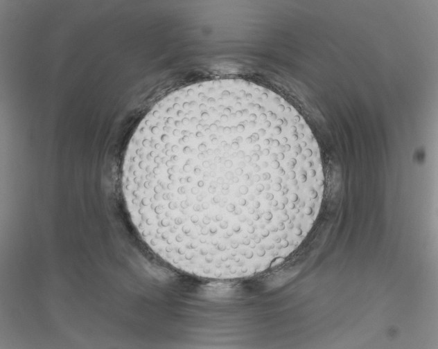X0000116870418201002021131