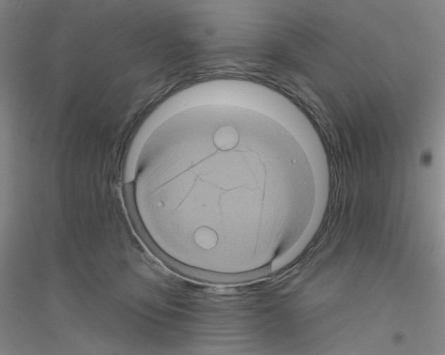 X0000116870419201002021131