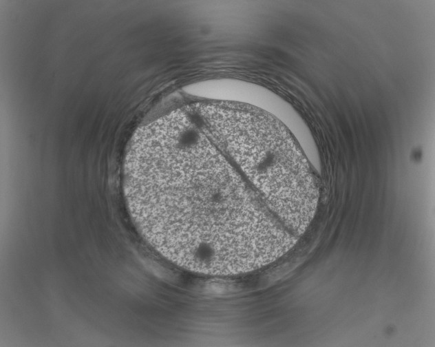 X0000116870420201002021131