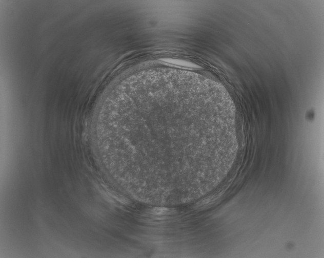 X0000116870421201002021131