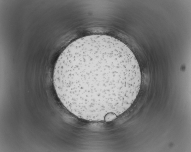 X0000116870422201002021131