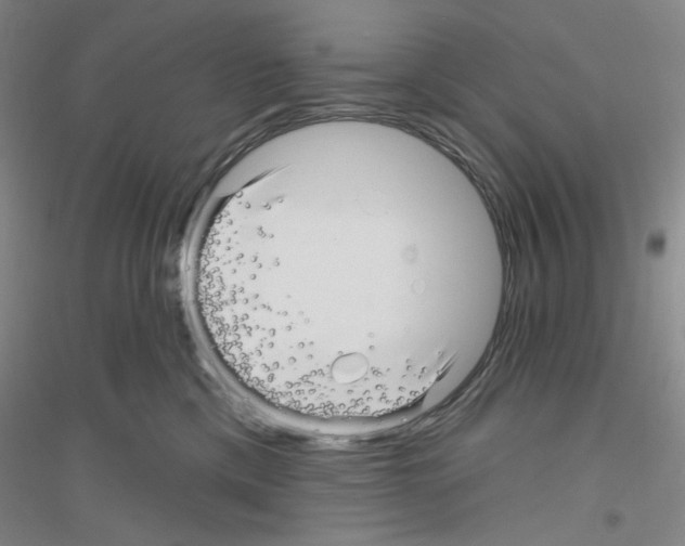 X0000116870425201002021131