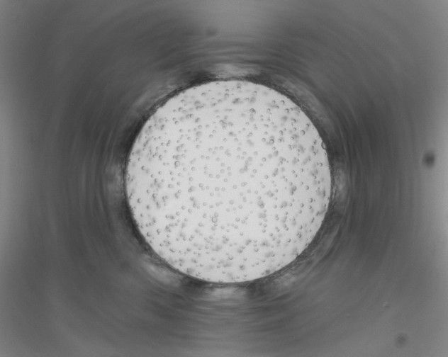 X0000116870426201002021131