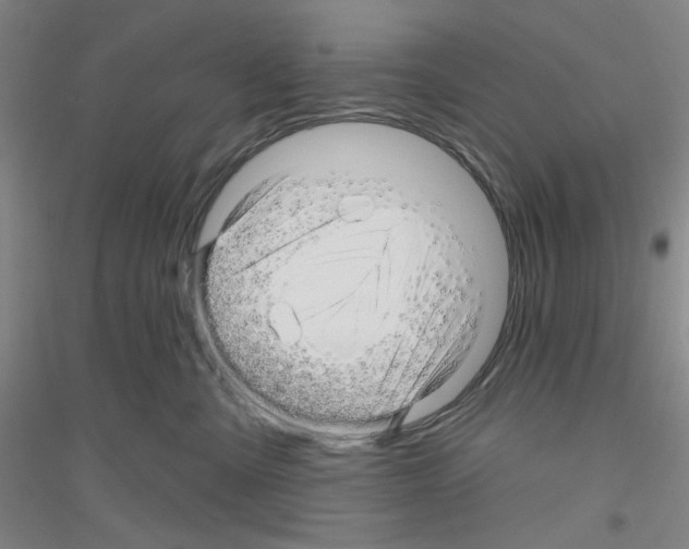 X0000116870427201002021131