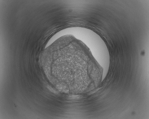X0000116870428201002021131