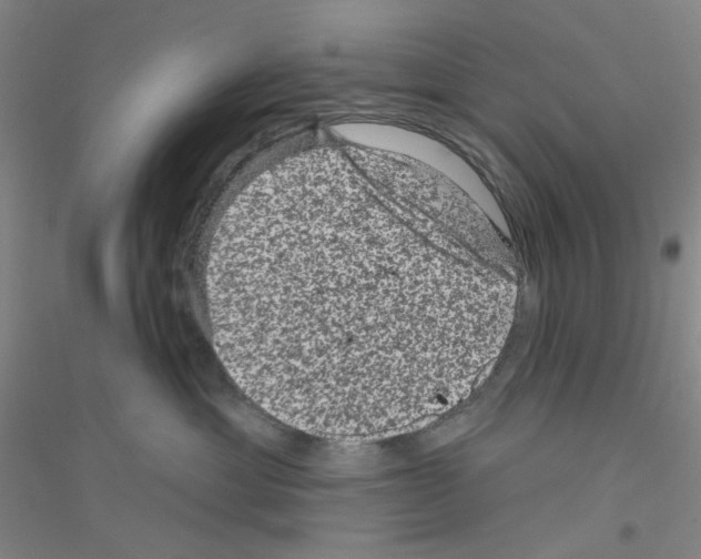 X0000116870429201002021131