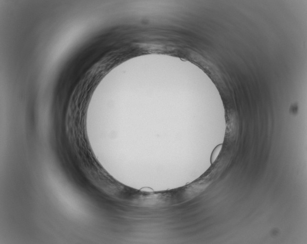 X0000116870430201002021131