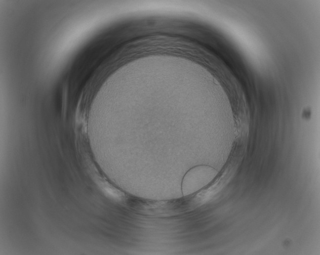 X0000116870431201002021131