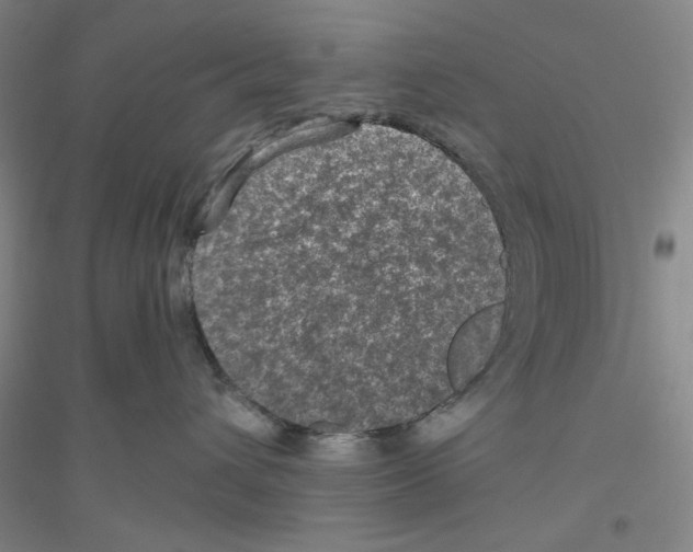 X0000116870432201002021131