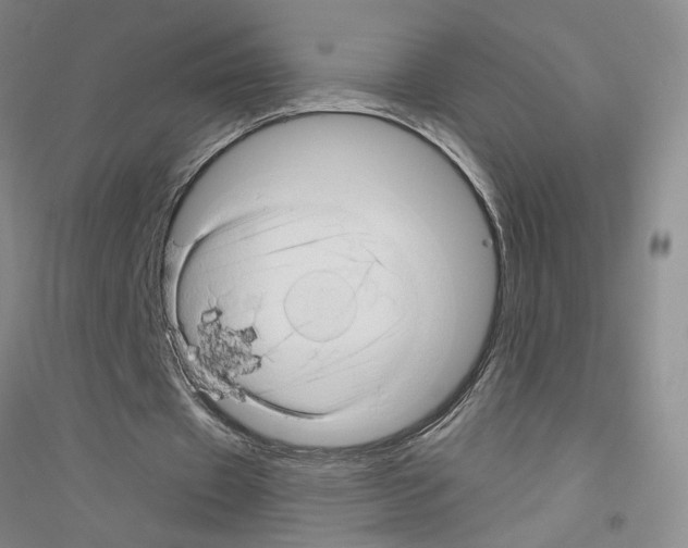 X0000116870433201002021130