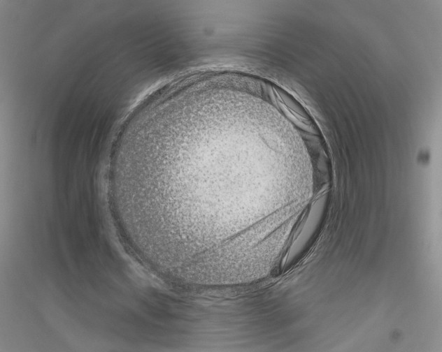 X0000116870434201002021130