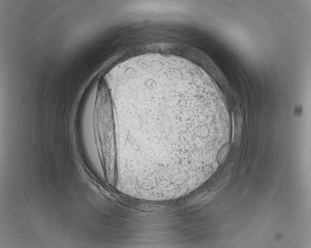X0000116870435201002021130