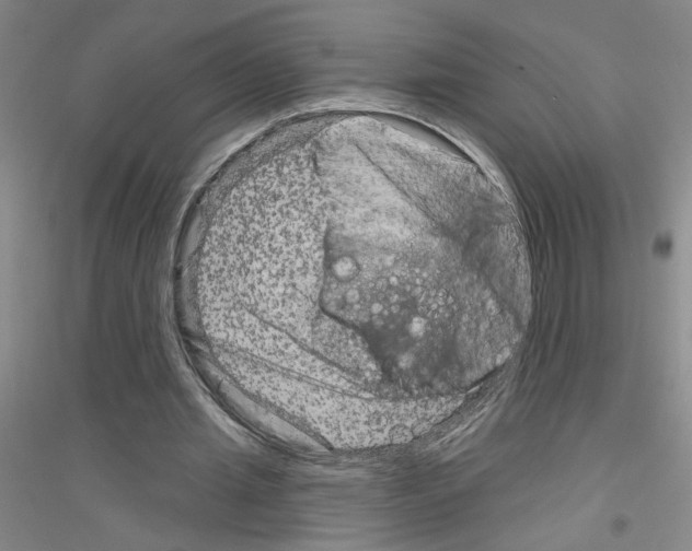X0000116870437201002021130