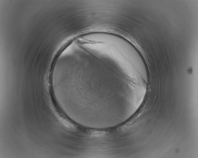 X0000116870438201002021130
