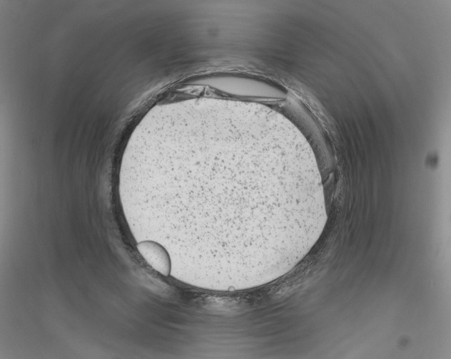 X0000116870442201002021130