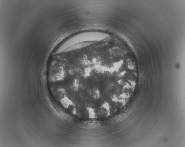 X0000116870443201002021130