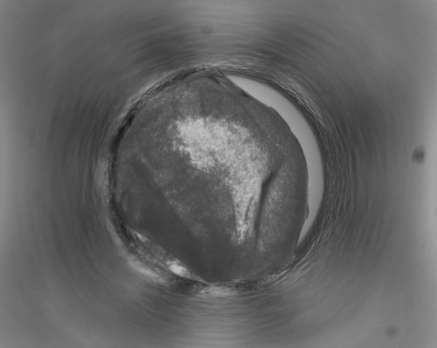 X0000116870444201002021130